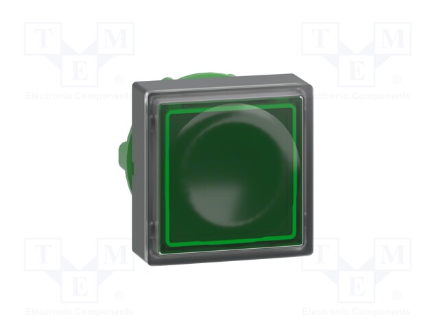 Switch Actuator, Green, Schneider Harmony XB5 Series 22mm Illuminated Pushbutton Switches