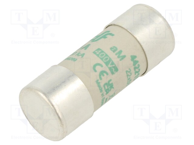 Fuse: fuse; aM; 125A; 400VAC; ceramic,cylindrical,industrial