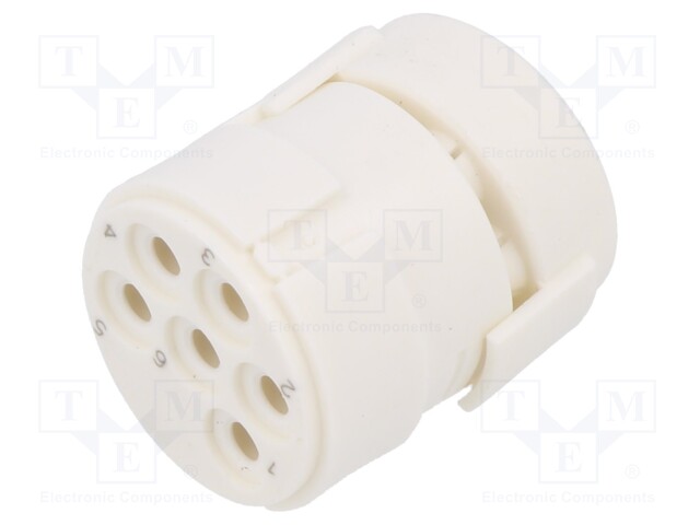 Connector: M23; contact insert; PIN: 6; female; for cable; 20A; 300V