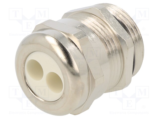 Cable gland