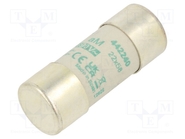 Fuse: fuse; aM; 40A; 690VAC; ceramic,cylindrical,industrial