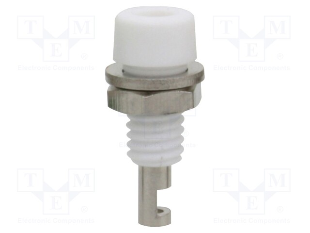 Socket; 2mm banana; 10A; white; nickel plated; on panel,screw