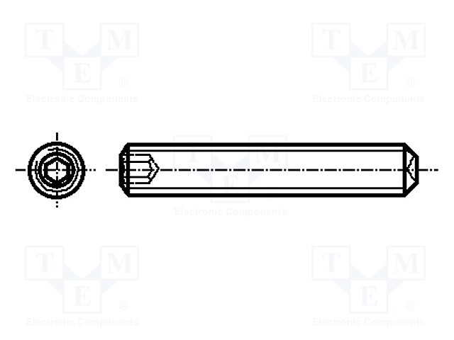 Screw; M3x3; DIN: 916; Head: without head; imbus; steel; zinc