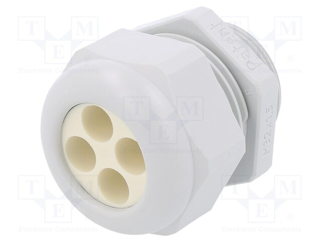 Cable gland