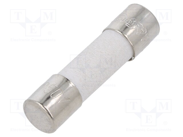 Fuse: fuse; 2A; 250VAC; ceramic; 20x5mm; brass; bulk; nickel plated