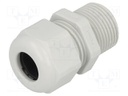 Cable gland; with long thread; M20; IP68; Mat: polyamide