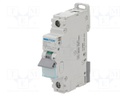 Circuit breaker; 230/400VAC; Inom: 32A; Poles: 1; DIN; Charact: B