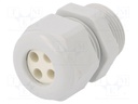 Cable gland