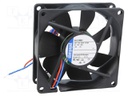 Fan: DC; axial; 80x80x25mm; 45m3/h; 21dBA; ball bearing; 2050rpm