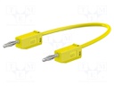 Test lead; 60VDC; 30VAC; 10A; 2mm banana plug-2mm banana plug