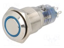 Switch: vandal resistant; Pos: 2; DPDT; 0.5A/220VAC; 1A/24VDC; IP67