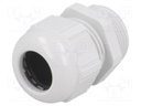 Cable gland; PG21; IP68; Mat: polyamide; light grey