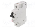 Circuit breaker; 230/400VAC; Inom: 10A; Poles: 1; DIN; Charact: C