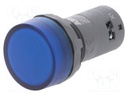 Control lamp; 22mm; CL2; -25÷70°C; Illumin: LED; Ø22mm; 24VAC; 24VDC