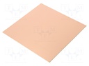 Laminate; FR4; 1.6mm; L: 150mm; W: 150mm; Coating: copper