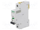 Circuit breaker; 230VAC; Inom: 40A; Poles: 1; DIN; Charact: B; 6kA