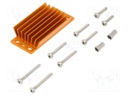 Heatsink: extruded; grilled; golden; L: 58mm; W: 23mm; H: 11.4mm