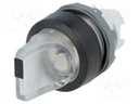 Switch: rotary; Stabl.pos: 2; 22mm; transparent; Illumin: MLB-1