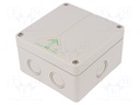 Enclosure: junction box; X: 110mm; Y: 110mm; Z: 67mm; polystyrene