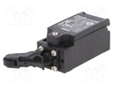 Limit switch; lever R 19mm, plastic roller Ø12mm; NO + NC; 10A