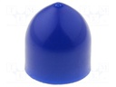 Plunger; 5ml; Colour: blue; Manufacturer series: QuantX