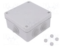 Enclosure: junction box; X: 113mm; Y: 113mm; Z: 58mm; wall mount