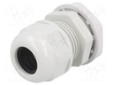 Cable gland; M25; IP65; Mat: polyamide; grey