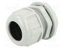 Cable gland; PG29; IP68; Mat: polyamide; dark grey; UL94V-2