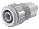 Socket; 4mm banana; 24A; 1kV; Cutout: Ø12.2mm; white; nickel plated