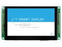 Display: TFT; 4.3"; 480x272; Window dimensions: 95.04x53.856mm