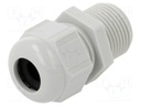 Cable gland; without nut,with long thread; M20; 1.5; IP68