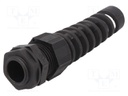 Cable gland; with strain relief; M20; IP66,IP68; Mat: polyamide