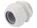 Cable gland; M50; IP68,IP69K; Mat: polyamide; light grey