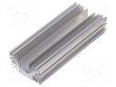 Heatsink: extruded; U; universal; aluminium; L: 304.8mm; W: 127mm