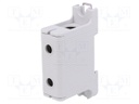 Splice terminal: rail; 95mm2; ways: 1; terminals: 2; grey; polyamide