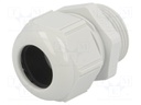 Cable gland; M25; Mat: polyamide; light grey