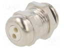 Cable gland