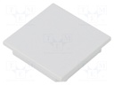 Cap for LED profiles; grey; ABS; Application: VARIO30-08