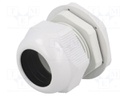 Cable gland; PG36; IP65; Mat: polyamide; grey