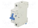 Circuit breaker; 230/400VAC; Inom: 32A; Poles: 1; Charact: C; 6kA