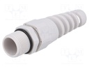 Cable gland; with strain relief; PG11; IP68; Mat: polyamide; grey