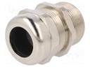 Cable gland; with earthing; M32; IP68; Mat: brass