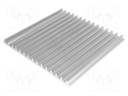 Heatsink: extruded; grilled; natural; L: 150mm; W: 159mm; H: 10mm