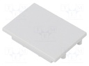 Cap for LED profiles; grey; ABS; Application: VARIO30-05