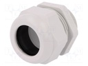 Cable gland; M40; IP68; Mat: polyamide; light grey; UL94V-0