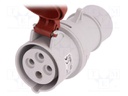 Connector: AC supply 3-phase; plug; female; 16A; 400VAC; IEC 60309