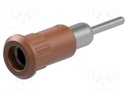 Socket; 4mm banana; 25A; 30VAC; 60VDC; brown; nickel plated