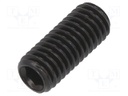 Screw; M5x12; DIN: 913; Head: without head; imbus; steel; HEX 2,5mm