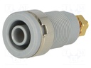 Socket; 4mm banana; 32A; grey; gold-plated; screw,on panel; 32mm