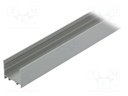 Profiles for LED modules; surface; natural; L: 1m; aluminium